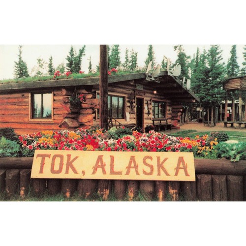 Tok alaska burnt - tok, paw