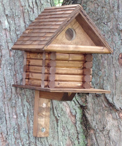 Log cabin style house - cabin, bird