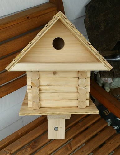 Log cabin style house - style, bird